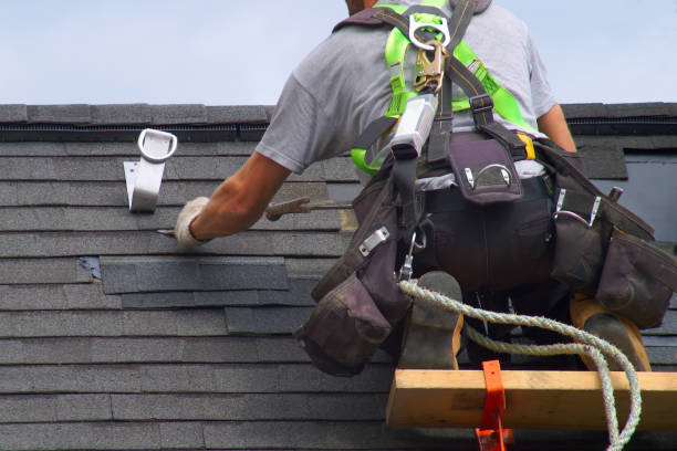 Best Green or Eco-Friendly Roofing Solutions  in Palmyra, WI